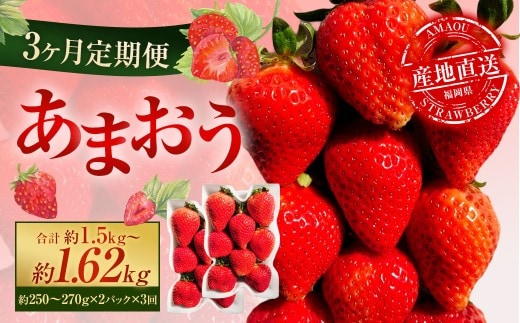 【3ヶ月定期便】 あまおう 2パック×3回 (計6パック) 【2026年2月上旬~4月上旬発送予定】 いちご イチゴ 果物 果実 フルーツ 福岡県 太宰府市 冷蔵