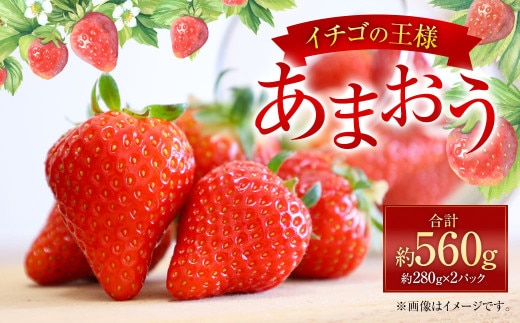 福岡県産 あまおう 約280g×2パック 合計560g 果物 くだもの フルーツ 苺 いちご イチゴ ストロベリー デザート 福岡県 太宰府市【2027年1月上旬~4月上旬発送予定】