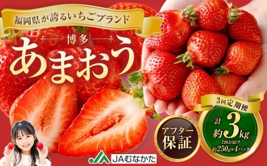 【3回定期便】博多 あまおう 4パック【2027年2月上旬~2027年4月下旬発送予定】