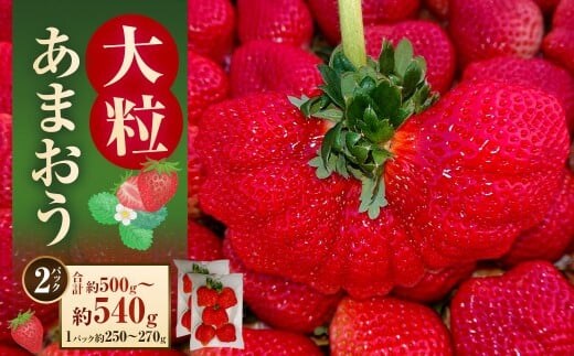 大粒あまおう 約250~270g × 2パック (計500~540g) 【2026年2月上旬~4月上旬発送予定】 あまおう 苺 いちご イチゴ くだもの 果物 フルーツ 国産 福岡県産 福岡県 太宰府市 冷蔵