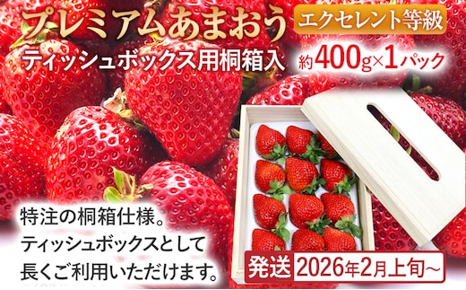 プレミアムあまおうEX (ティッシュボックス用特別仕様の桐箱入り）いちご フルーツ 果物 あまおう 約400g×1パック 福岡 苺 イチゴ 桐箱 【発送時期2026年2月上旬～2026年4月上旬】