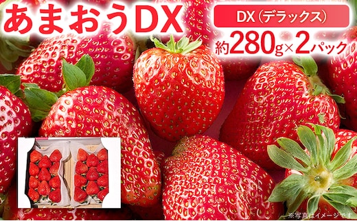【2026年2月上旬より順次発送】 あまおうDX 約280g×2パック いちご 苺 フルーツ 果物 くだもの 福岡県 福岡 九州 グルメ お取り寄せ