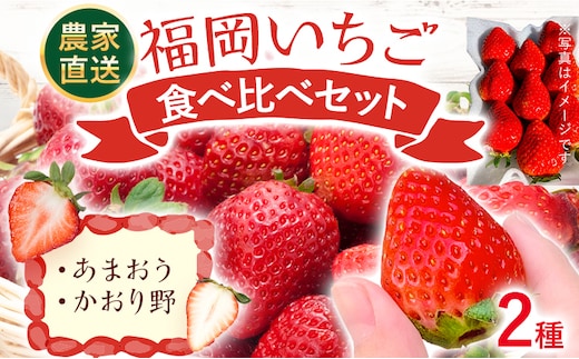 【期間限定】福岡 いちご 食べ比べセット あまおう かおり野 2種 苺 フルーツ 果物 くだもの 福岡県産 農家直送 詰め合わせ フルーツ 果物 苺 旬 クラフト農法 ギフト【2027年2月より順次発送】