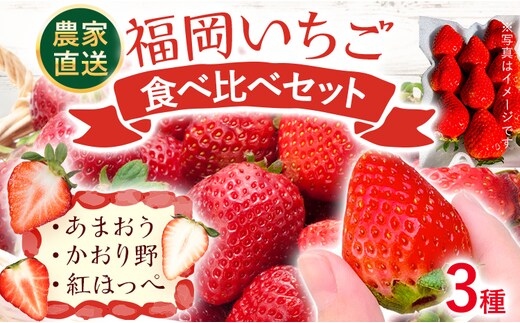 【期間限定】福岡 いちご 食べ比べセット あまおう かおり野 紅ほっぺ 3種 苺 フルーツ 果物 くだもの 福岡県産 農家直送 詰め合わせ フルーツ 果物 苺 旬 クラフト農法 ギフト【2027年2月より順次発送】