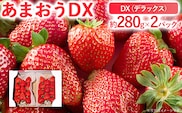 【2026年2月上旬より順次発送】 あまおうDX 約280g×2パック いちご 苺 フルーツ 果物 くだもの 福岡県 福岡 九州 グルメ お取り寄せ
