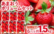 【2026年2月上旬より順次発送】 あまおう ボリュームセット 6パック グランデ等級 グランデ G いちご 苺 フルーツ 果物 くだもの 福岡県 福岡 九州 グルメ お取り寄せ