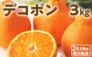 期間限定 デコポン フルーツ 果物 くだもの 3kg 柑橘 甘い 濃厚 ジューシー 産地直送 デザート おやつ オレンジ 福岡県 福岡 九州 グルメ お取り寄せ 【2月上旬頃から順次発送】