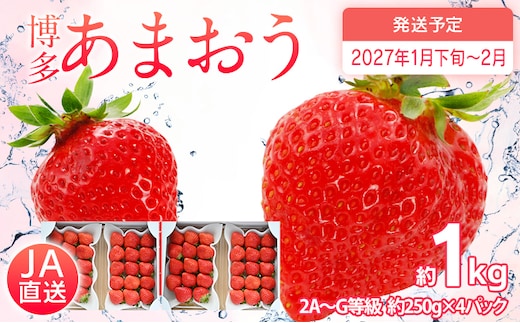 先行予約 あまおう 合計約1kg 約250g×4パック 福岡県産 九州 イチゴ いちご 苺 果物 くだもの フルーツ 送料無料 【2027年1月下旬～2月順次発送予定】