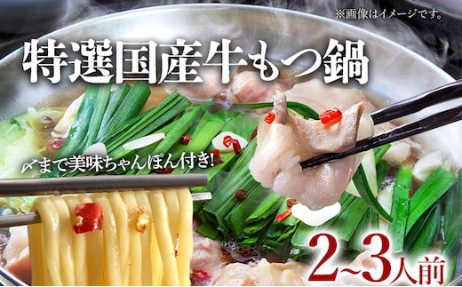 特選「鶏家」もつ鍋セット（2～3人前） ふるさと納税用セット モツ鍋 牛ホルモン もつなべ ホルモン鍋 牛モツ モツ もつ鍋 博多もつ鍋 牛もつ鍋 鍋セット 冷凍 送料無料