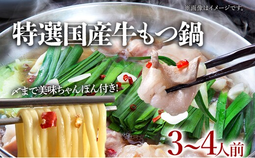 特選「鶏家」のもつ鍋セット 【3～4人前】 モツ鍋 牛ホルモン もつなべ ホルモン鍋 牛モツ モツ もつ鍋 博多もつ鍋 牛もつ鍋 鍋セット ギフト 贈り物 冷凍 送料無料