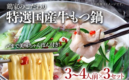 特選「鶏家」のもつ鍋セット 【3～4人前×3セット】 合計9～12人前 モツ鍋 牛ホルモン もつなべ ホルモン鍋 牛モツ もつ鍋 博多もつ鍋 牛もつ鍋 鍋セット ギフト 贈り物 冷凍 送料無料