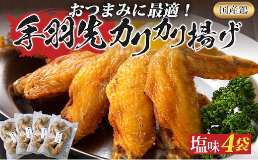 手羽先カリカリ揚げ 20本 5本入 4袋 セット 塩味 むなかた鶏 鶏肉 惣菜 おつまみ お取り寄せ グルメ ギフト 鶏家 宗像 国産 唐揚げ から揚げ 揚げ物 おかず 夜食 弁当 福岡