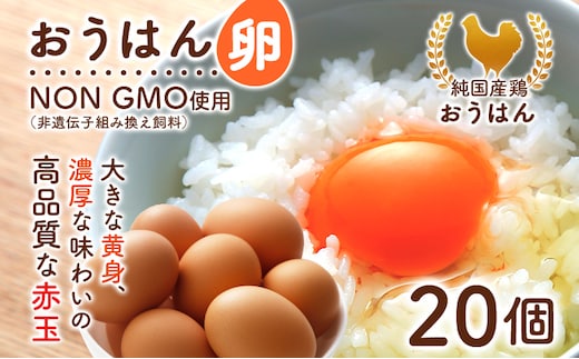 純国産鶏の卵 おうはん卵 20個入り 卵 生卵 たまご タマゴ 玉子 赤玉 青柳たまご 福岡 送料無料