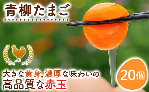 卵 青柳たまご 20個 たまご 生卵 鶏卵 ビタミンE 10倍 低コレステロール 濃厚 鮮度抜群 産地直送 農場直送 詰め合わせ パック TKG 玉子焼き 朝食 健康 栄養