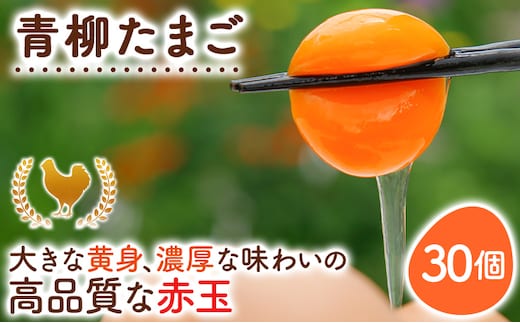 卵 青柳たまご 30個 たまご 生卵 鶏卵 ビタミンE 10倍 低コレステロール 濃厚 鮮度抜群 産地直送 農場直送 詰め合わせ パック TKG 玉子焼き 朝食 健康 栄養
