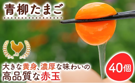 卵 青柳たまご 40個 たまご 生卵 鶏卵 ビタミンE 10倍 低コレステロール 濃厚 鮮度抜群 産地直送 農場直送 詰め合わせ パック TKG 玉子焼き 朝食 健康 栄養