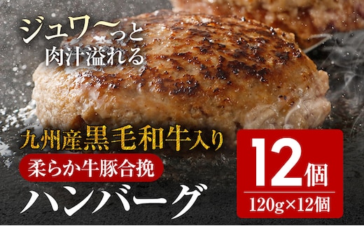 ふるさと納税 鹿児島県産黒毛和牛＆黒豚入り手ごねハンバーグ8個入