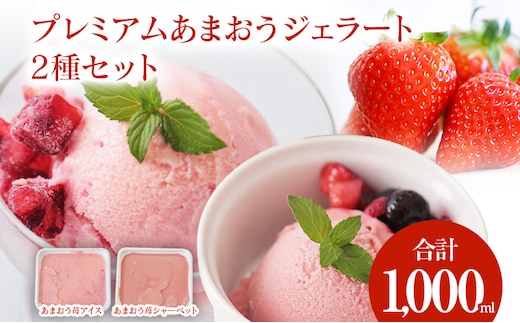 プレミアムあまおうジェラート2種セット 500ml×2 合計1000ml 苺 イチゴ 氷菓 スイーツ アイス シャーベット 冷凍 福岡県産 送料無料