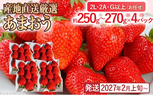 産地直送厳選あまおう 4パックセット（G,2L,2A規格以上）【数量限定】いちご フルーツ 果物 あまおう 約250g~約270g×4パック 福岡 苺 イチゴ 【2027年2月上旬～2027年4月末頃発送予定】