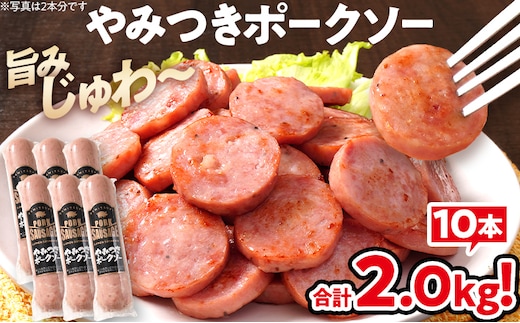 やみつきポークソー 2kg（10本） ボロニア ボロニアソーセージ 豚肉 ポークソーセージ にんにく 黒胡椒 おやつ ごはん おかず お酒 おつまみ 福岡県 福岡 九州 グルメ お取り寄せ