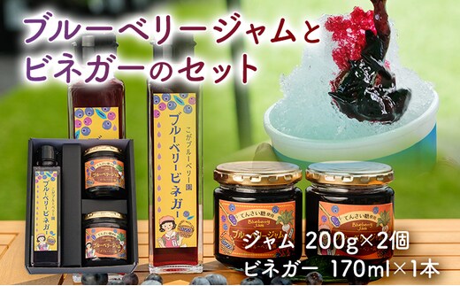 ブルーベリージャム (2個)＆ ビネガー(1本) セット ブルーベリー ビネガー ジャム パン 食パン お酢 酢 朝食 かき氷 果実酢 お取り寄せ 福岡 お土産 九州 福岡土産 取り寄せ グルメ 福岡県 古賀市