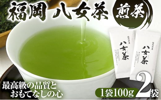 福岡 八女茶 煎茶 200g（100g×2袋）お茶 緑茶 原野製茶 奥八女 八女 茶葉 福岡県 福岡 九州 グルメ お取り寄せ メール便（ポスト投函）