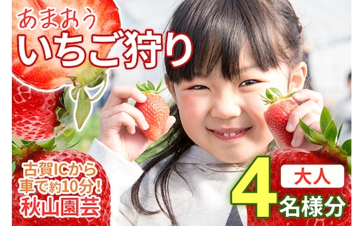 「いちご狩りチケット」（大人4名様分、60分）いちご(あまおう)食べ放題チケット 苺 イチゴ チケット 食べ放題 4名分 秋山園芸 いちご狩り