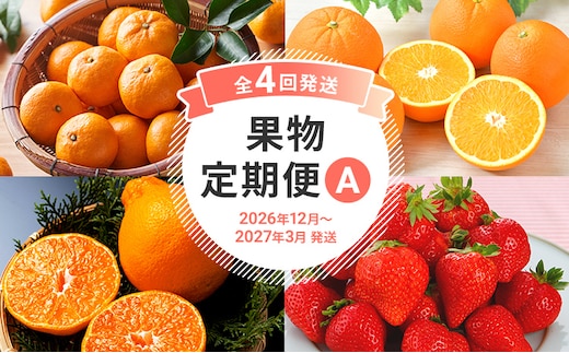 定期便 果物定期便A 4回発送 山見阪ネーブル みかん デコポン 博多あまおう 定期発送 果物 くだもの フルーツ 柑橘 イチゴ 送料無料 【2026年12月〜2027年3月発送】