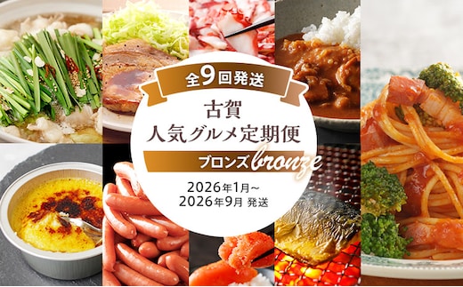 古賀人気グルメ定期便 ブロンズ【年9回発送】 (もつ鍋・味噌豚ステーキ・真蛸・バターチキンカレー・クレームブリュレ・ウインナー・明太子・焼き塩さば・ピエトロパスタソース＆麺) 定期発送 送料無料