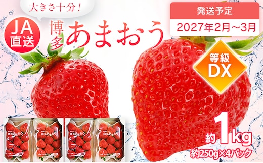 先行予約 あまおう 合計約1kg 約250g×4パック DX 福岡県産 九州 イチゴ いちご 苺 果物 くだもの フルーツ 送料無料【2027年2月～2027年3月順次発送】