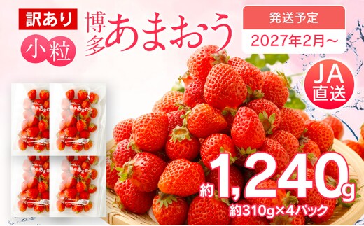 訳あり 小粒あまおう 合計約1240g 約310g×4パック 一口サイズ ご家庭用 福岡県産 九州 イチゴ いちご 苺 果物 くだもの フルーツ 送料無料 ふるさと納税 訳あり 規格外 いちご【2027年2月より順次発送】