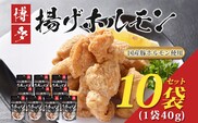 博多揚げホルモン(10袋セット) ホルモン 国産豚 唐揚げ おつまみ 送料無料