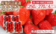 産地直送厳選あまおう 4パックセット（G,2L,2A規格以上）【数量限定】いちご フルーツ 果物 あまおう 約250g~約270g×4パック 福岡 苺 イチゴ 【2027年2月上旬～2027年4月末頃発送予定】