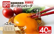 【数量限定】訳あり！大容量！特定原材料8品目不使用 ポークハンバーグ40枚 合計2.4kg！ 国産豚肉使用 国産玉ねぎ 訳あり ポークハンバーグ お取り寄せグルメ お取り寄せ 福岡 お土産 九州 福岡土産 取り寄せ グルメ 福岡県