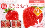 先行予約 あまおう 合計約1kg 約250g×4パック DX 福岡県産 九州 イチゴ いちご 苺 果物 くだもの フルーツ 送料無料【2027年2月～2027年3月順次発送】