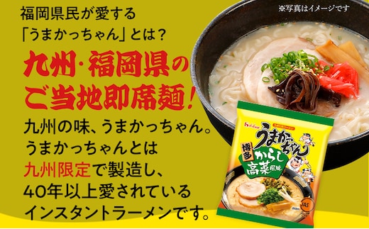 うまかっちゃん 【30袋】 豚骨ラーメン とんこつ 豚骨 辛子高菜 高菜