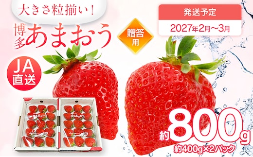 先行予約 あまおう 合計約800g 約400g×2パック（１パックあたり、9玉～18玉） 福岡県産 九州 イチゴ いちご 苺 果物 くだもの フルーツ 送料無料【2027年2月～3月順次発送】