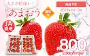 先行予約 あまおう 合計約800g 約400g×2パック（１パックあたり、9玉～18玉） 福岡県産 九州 イチゴ いちご 苺 果物 くだもの フルーツ 送料無料【2027年2月～3月順次発送】