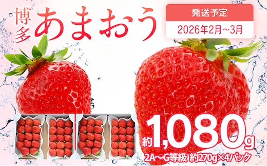 先行予約 あまおう 合計約1,080g 約270g×4パック 福岡県産 九州 イチゴ いちご 苺 果物 くだもの フルーツ 送料無料 【2026年2月～2026年3月順次発送】
