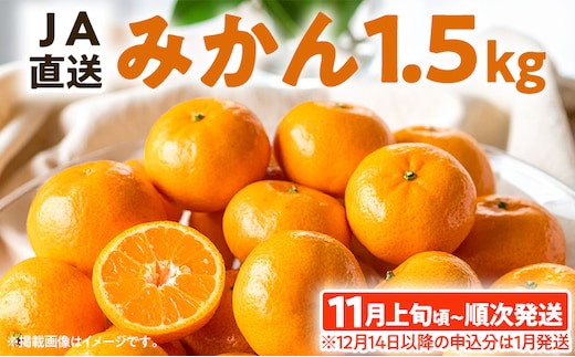 期間限定 みかん フルーツ 果物 くだもの 1.5kg 柑橘 甘い 濃厚 ジューシー 産地直送 デザート おやつ オレンジ 福岡県 福岡 九州 グルメ お取り寄せ 【11月上旬頃から順次発送】