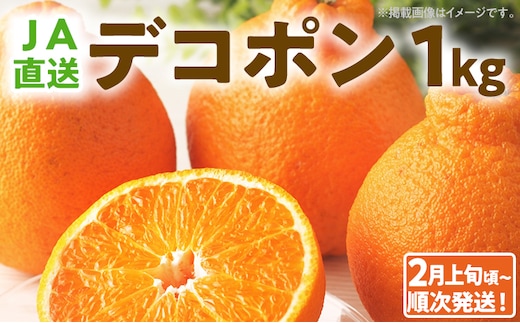 期間限定 デコポン フルーツ 果物 くだもの 1kg 不知火 柑橘 甘い 濃厚 ジューシー 産地直送 デザート おやつ オレンジ 福岡県 福岡 九州 グルメ お取り寄せ 【2月上旬頃から順次発送】