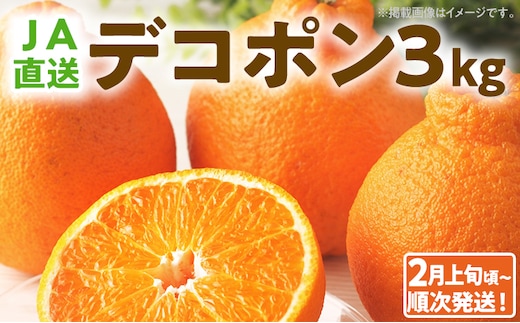 期間限定 デコポン フルーツ 果物 くだもの 3kg 不知火 柑橘 甘い 濃厚 ジューシー 産地直送 デザート おやつ オレンジ 福岡県 福岡 九州 グルメ お取り寄せ 【2月上旬頃から順次発送】