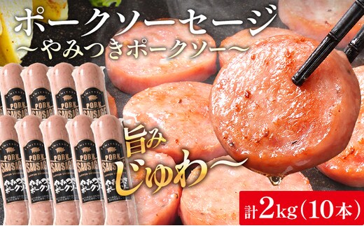 やみつきポークソー 2kg（10本） ボロニア ボロニアソーセージ 豚肉 ポークソーセージ にんにく 黒胡椒 おやつ ごはん おかず お酒 おつまみ 福岡県 福岡 九州 グルメ お取り寄せ