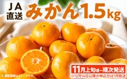 期間限定 みかん フルーツ 果物 くだもの 1.5kg 柑橘 甘い 濃厚 ジューシー 産地直送 デザート おやつ オレンジ 福岡県 福岡 九州 グルメ お取り寄せ 【11月上旬頃から順次発送】