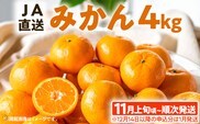 期間限定 みかん フルーツ 果物 くだもの 4kg 柑橘 甘い 濃厚 ジューシー 産地直送 デザート おやつ オレンジ 福岡県 福岡 九州 グルメ お取り寄せ 【11月上旬頃から順次発送】