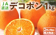 期間限定 デコポン フルーツ 果物 くだもの 1kg 不知火 柑橘 甘い 濃厚 ジューシー 産地直送 デザート おやつ オレンジ 福岡県 福岡 九州 グルメ お取り寄せ 【2月上旬頃から順次発送】