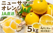 期間限定 ニューサマーオレンジ 日向夏 オレンジ フルーツ 果物 くだもの 5kg 柑橘 甘い 濃厚 ジューシー 産地直送 デザート おやつ 福岡県 福岡 九州 グルメ お取り寄せ 【4月上旬頃から順次発送】