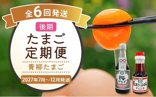 たまご後期定期便 6回発送（初回のみ醤油付き・たまご20個）20個×6回 合計120個 定期便 6ヶ月 卵 青柳たまご 送料無料 【2027年7月～12月の計6回お届け】