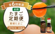 たまご前期定期便 6回発送（初回のみ醤油付き・たまご20個）20個×6回 合計120個 定期便 6ヶ月 卵 青柳たまご 送料無料 【2027年1月～6月の計6回お届け】