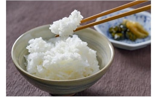 【令和7年産】嘉麻市産 夢つくし 11kg 清らかな水で育った 福岡県産 特別栽培米